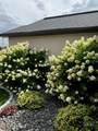 2157 Cayuse Street - Photo 49