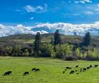 2168 Middle Fork Rd - Photo 9