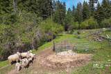 559 Kessler Creek Rd - Photo 41