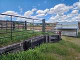 357 Witters Crt - Photo 49