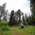 1311 Gold Hill Rd - Photo 36