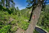 TBD Forest Service Road 542 - Photo 13