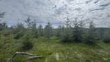 TBD Badger Ridge Dr    Parcel 3 - Photo 16