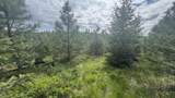 TBD Badger Ridge Dr    Parcel 3 - Photo 19