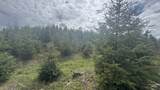 TBD Badger Ridge Dr    Parcel 3 - Photo 23