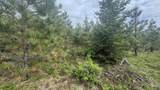 TBD Badger Ridge Dr    Parcel 3 - Photo 25