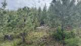 TBD Badger Ridge Dr    Parcel 3 - Photo 28