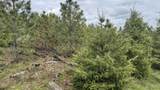 TBD Badger Ridge Dr    Parcel 3 - Photo 29