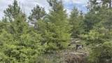 TBD Badger Ridge Dr    Parcel 3 - Photo 31