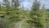 TBD Badger Ridge Dr    Parcel 3 - Photo 33