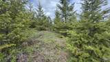 TBD Badger Ridge Dr    Parcel 3 - Photo 37
