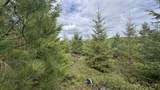 TBD Badger Ridge Dr    Parcel 3 - Photo 42