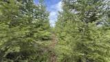 TBD Badger Ridge Dr    Parcel 3 - Photo 43