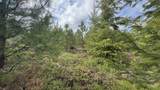 TBD Badger Ridge Dr    Parcel 3 - Photo 44