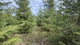 TBD Badger Ridge Dr    Parcel 3 - Photo 45