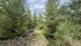 TBD Badger Ridge Dr    Parcel 3 - Photo 47