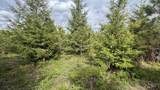 TBD Badger Ridge Dr    Parcel 3 - Photo 49