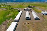 2194 Highway 95 - Photo 5