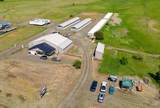 2194 Highway 95 - Photo 7