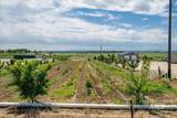 15741 Willis Road - Photo 37