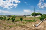 15741 Willis Road - Photo 38