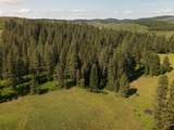 000 Hwy 9 (Parcel 1) - Photo 4