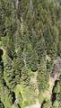 74 Burnt Wagon Trail - Photo 1