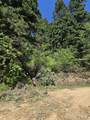 74 Burnt Wagon Trail - Photo 2