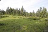TBD Smokey Bear Ln - Photo 10
