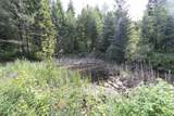 TBD Smokey Bear Ln - Photo 15