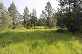 TBD Smokey Bear Ln - Photo 25