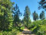 Lots 1 & 2 Wilderness Ridge Rd - Photo 4