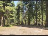 1714 Grouse Trail - Photo 31