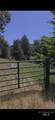 TBD Four Mile Rd. - Photo 5