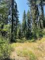 Lot 1 Summerset - Photo 14