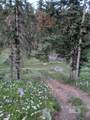 22848 Hwy 11 - Photo 49
