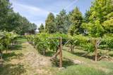 13569 Paoletti St - Photo 38