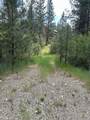 TBD White Pine - Photo 1
