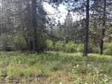 TBD White Pine - Photo 12