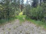 TBD White Pine - Photo 2