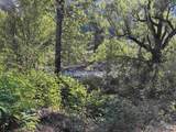 5645 Pines Rd - Photo 42