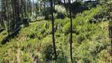 TBD Beaver Creek Rd, Lot9 - Photo 7