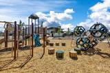8164 Grey Alder Dr - Photo 4