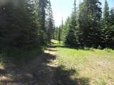 TBD Hwy 11 - Photo 16