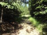 TBD Hwy 11 - Photo 24
