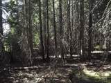 TBD Hwy 11 - Photo 26