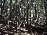 TBD Hwy 11 - Photo 27