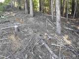 TBD Hwy 11 - Photo 29