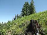 TBD Hwy 11 - Photo 3