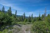 TBD 4 Warm Lake Road - Photo 7